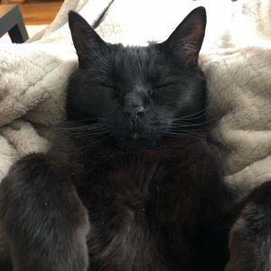 Meet your Posher, Kim